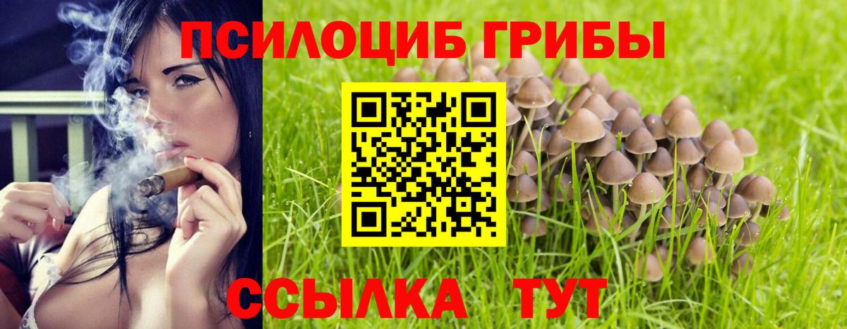 Галлюциногенные грибы Psilocybine cubensis  Вход с VPN  Октябрьский  Галлюциногенные грибы ЛСД 