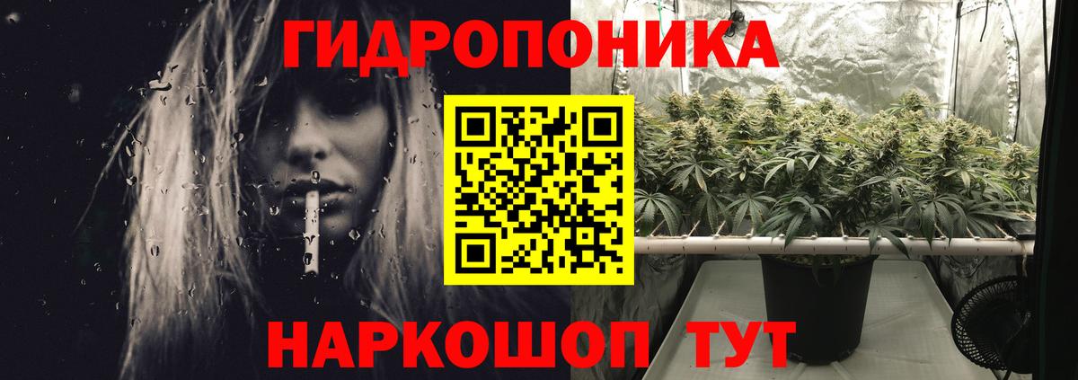Бошки марихуана марихуана Октябрьский